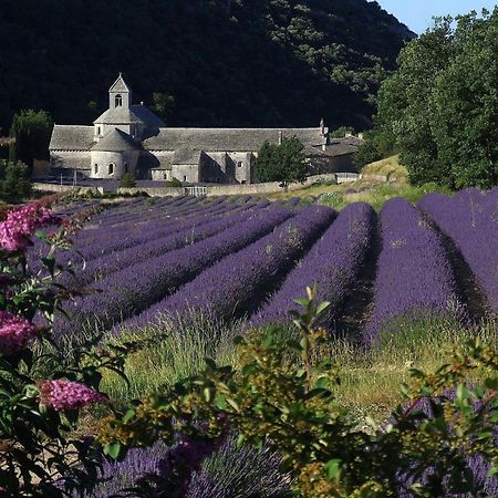 La Calvinette Villa Pernes-les-Fontaines Eksteriør bilde
