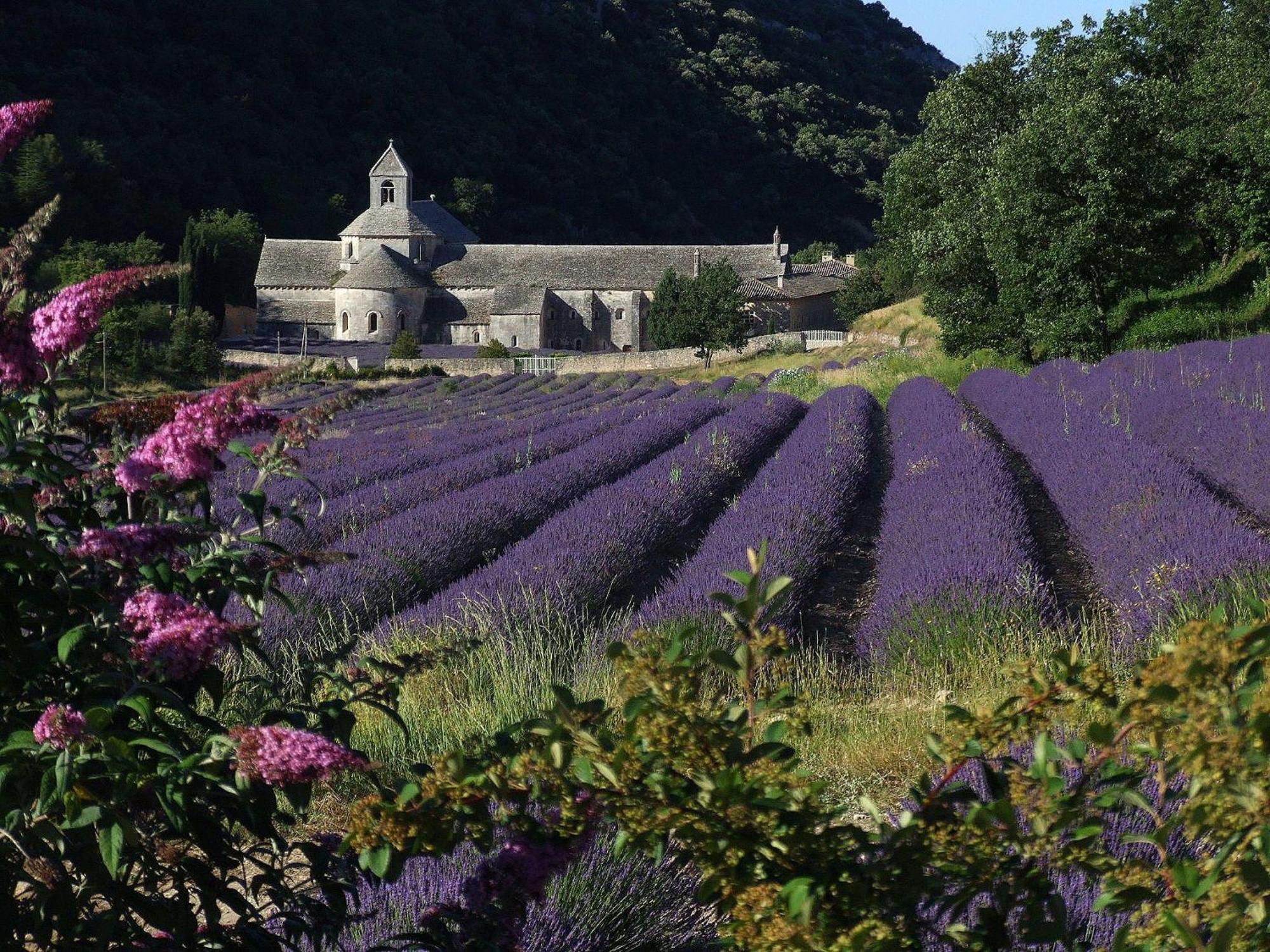 La Calvinette Villa Pernes-les-Fontaines Eksteriør bilde